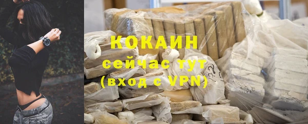 бошки Покачи