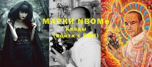 гашик Покров