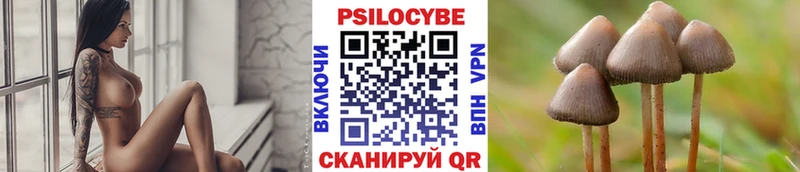 Галлюциногенные грибы Psilocybe Сунжа