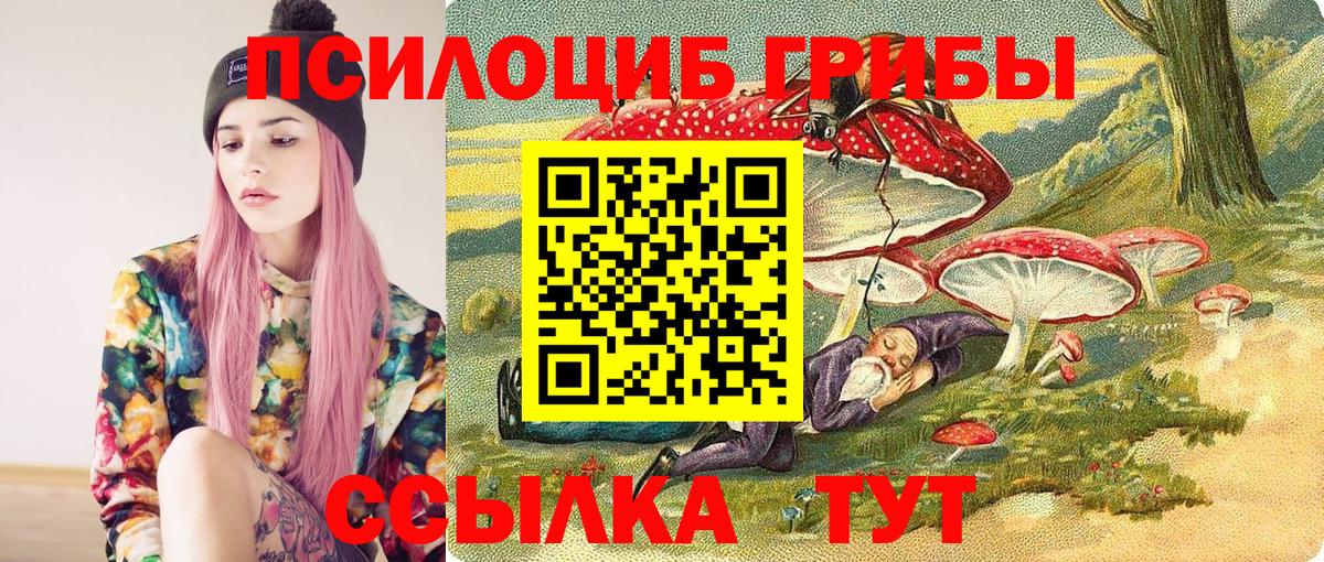 Псилоцибиновые грибы мухоморы  Вход с VPN  Галлюциногенные грибы Cubensis  Сунжа 