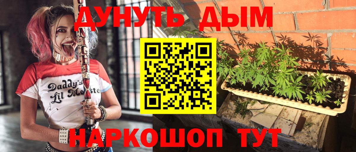 Конопля MAZAR  Вход с VPN  Сунжа  Марихуана сатива  Бошки Шишки SATIVA & INDICA 